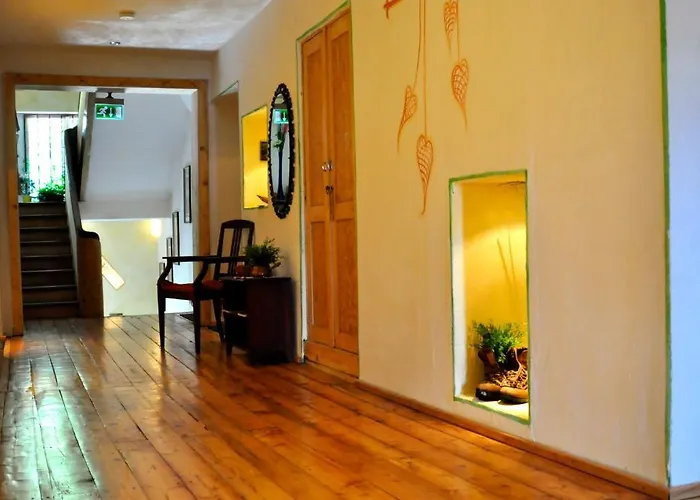 雷塔锡/蒂罗尔“0”斯特恩韦瑟斯洛瑟酒店 洛伊塔施