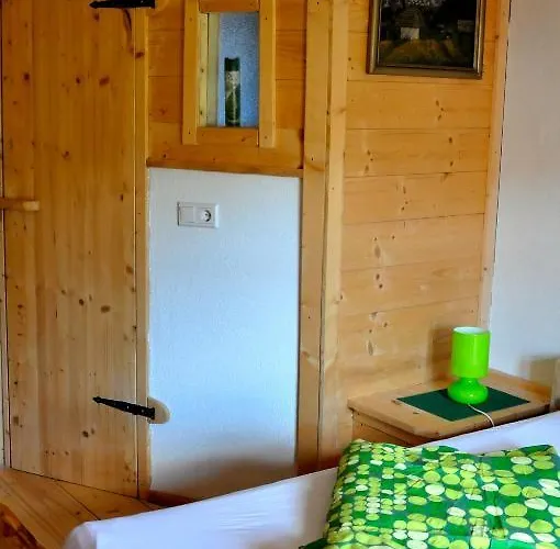 雷塔锡/蒂罗尔“0”斯特恩韦瑟斯洛瑟酒店