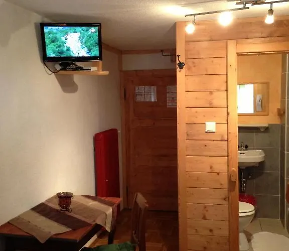 雷塔锡/蒂罗尔“0”斯特恩韦瑟斯洛瑟酒店 洛伊塔施