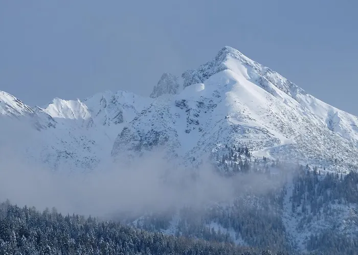 雷塔锡/蒂罗尔“0”斯特恩韦瑟斯洛瑟酒店 3* 洛伊塔施