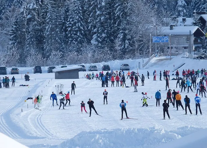 雷塔锡/蒂罗尔“0”斯特恩韦瑟斯洛瑟酒店 招待所 洛伊塔施