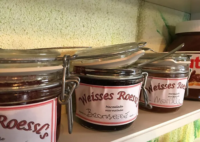 雷塔锡/蒂罗尔“0”斯特恩韦瑟斯洛瑟酒店 招待所 3*